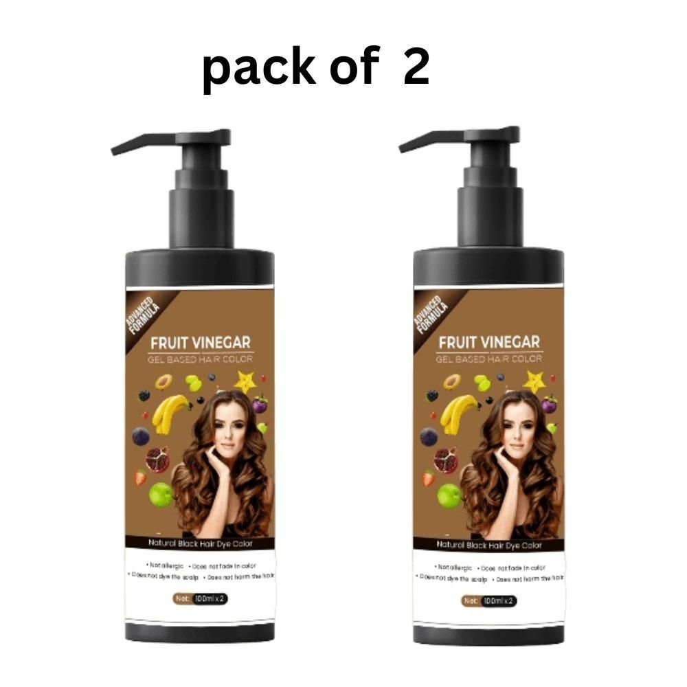 Fruit Vinegar Gel Based Hair Color 100ml Each (Pack of 2)