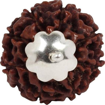 7 Mukhi Rudraksha Silver Capped Pendant